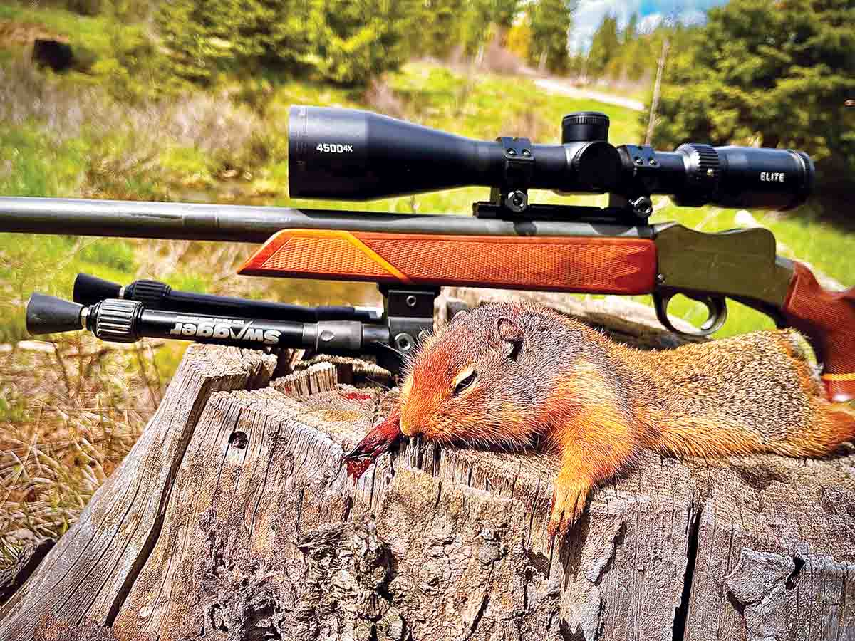 Patrick used his rebarreled Martini single-shot rifle to take this Columbia ground squirrel at about 150 yards, shooting a lead-free Hornady 35-grain NTX (not included in this test).